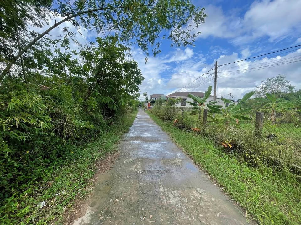 Đất ở Thanh An Cam Lộ 125m² giá chỉ 300 triệu - Cơ hội đầu tư tuyệt vời!