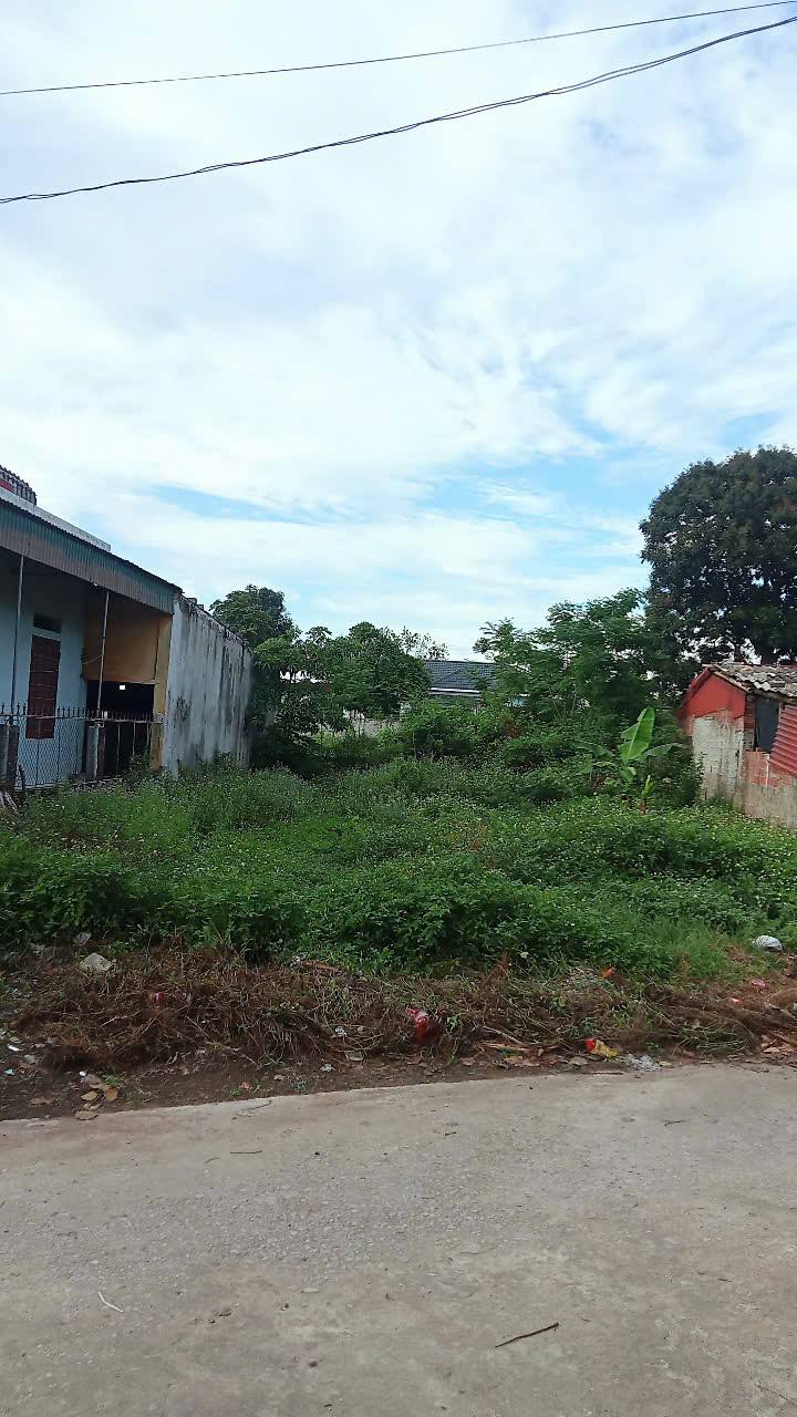 Đất nền Đa Lộc 254m² giá thỏa thuận - Vị trí trung tâm sầm uất!