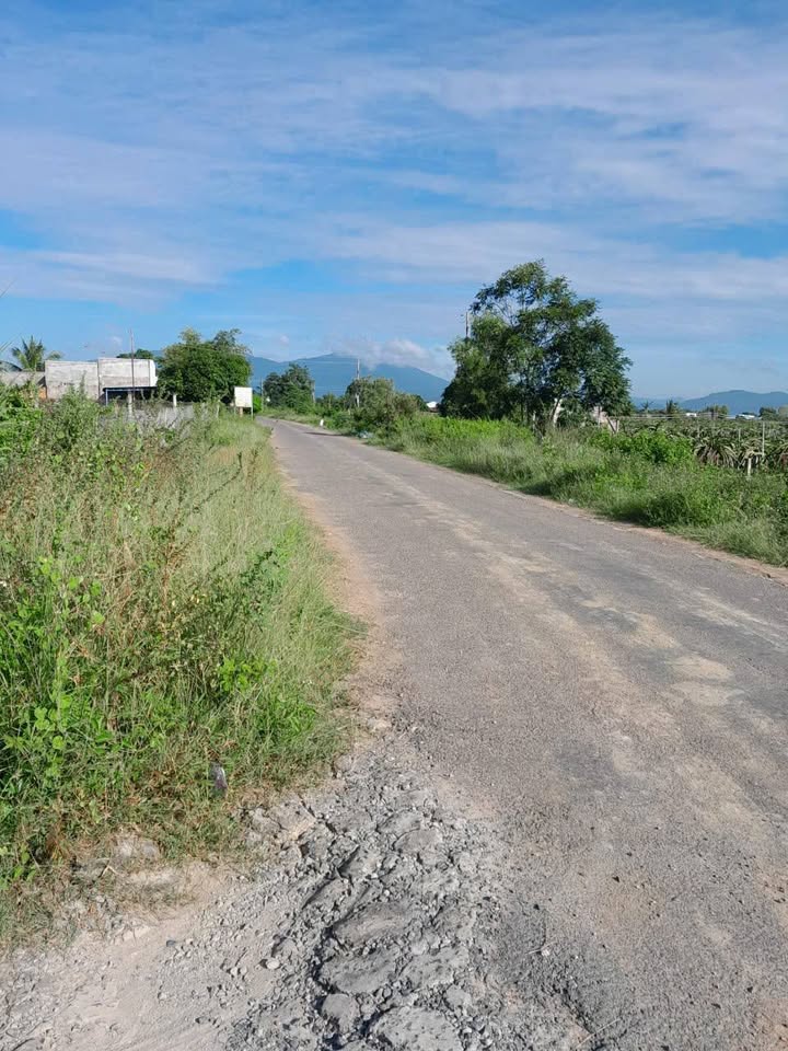 Đất thổ cư 300m² + 500m² cây trồng tại đường Đại Lộc, Bình Thuận - Giá đầu tư hấp dẫn!