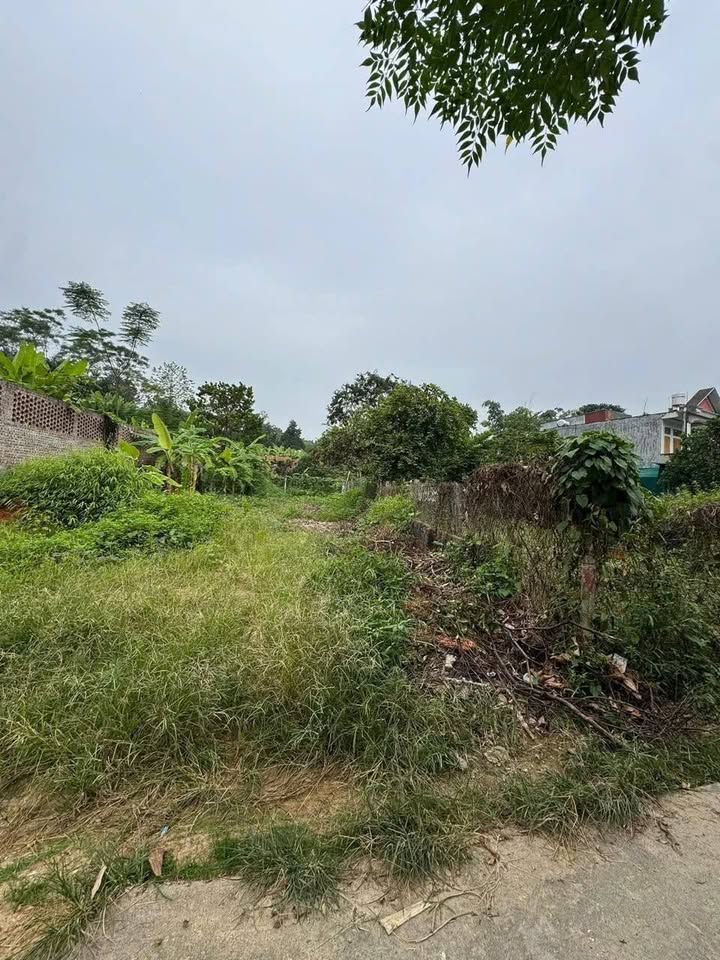 Đất thổ cư 165m² tại phường Ỷ La, giá chỉ 1.8 tỷ - Vị trí đẹp, tiện ích đầy đủ!