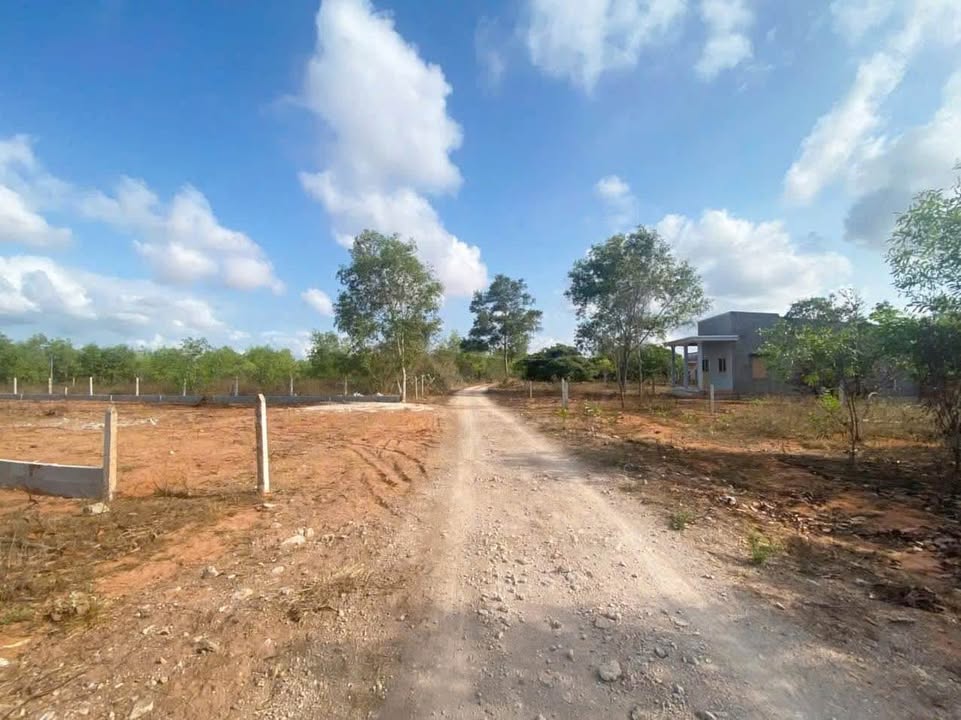 Đất nông nghiệp Mũi Né 39,600m² giá 14.256 tỷ - Đường ô tô vào tận nơi!