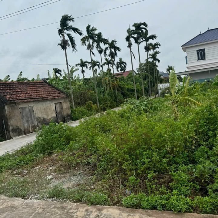 Lô đất Nghĩa Phú, Nghĩa Hưng 347m² giá 1 tỷ - Tiềm năng tăng giá tốt!