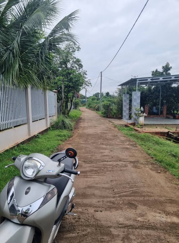 Bán đất Đoàn Kết, Buôn Hồ 100m² giá 600 triệu - Sổ hồng chính chủ, thổ cư full!