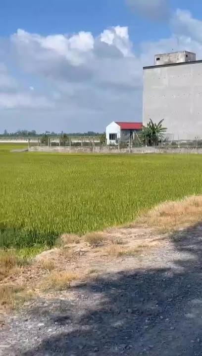 Đất nông nghiệp 100 công tại Tân Hội Trung, Đồng Tháp - Giá 210 triệu/công, sẵn sàng giao dịch!