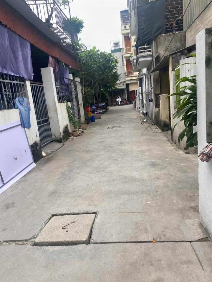 Đất nền Vũ Hựu, Thanh Bình, Hải Dương 40m² giá 1.5 tỷ - Cơ hội đầu tư hấp dẫn!