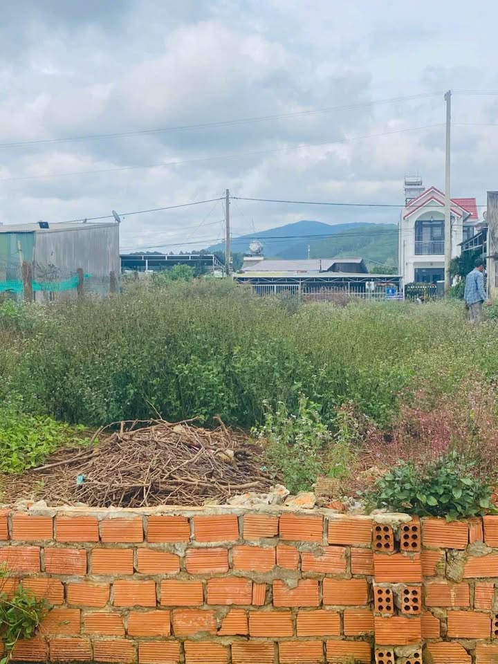 Đất nền Hiệp Thạnh, Đức Trọng 75m² giá chỉ 1.6 tỷ - Đầu tư sinh lời ngay!