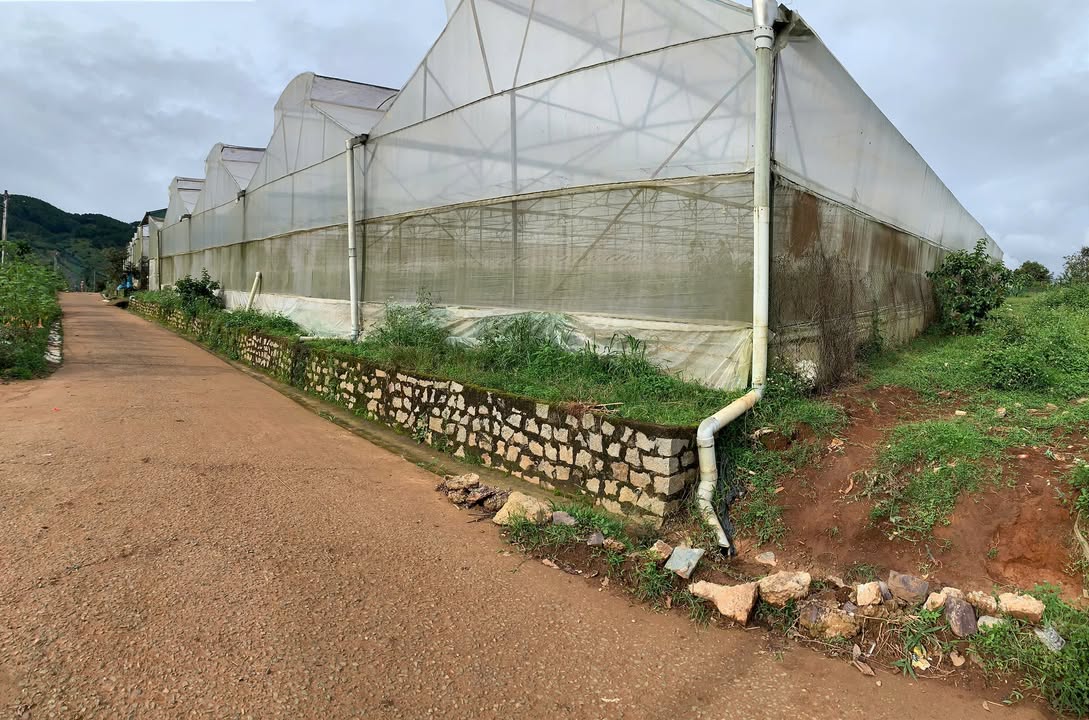 Bán đất thổ cư 2000m² tại xã Mê Linh, Lâm Hà - Giá 3 tỷ, đầu tư sinh lời!