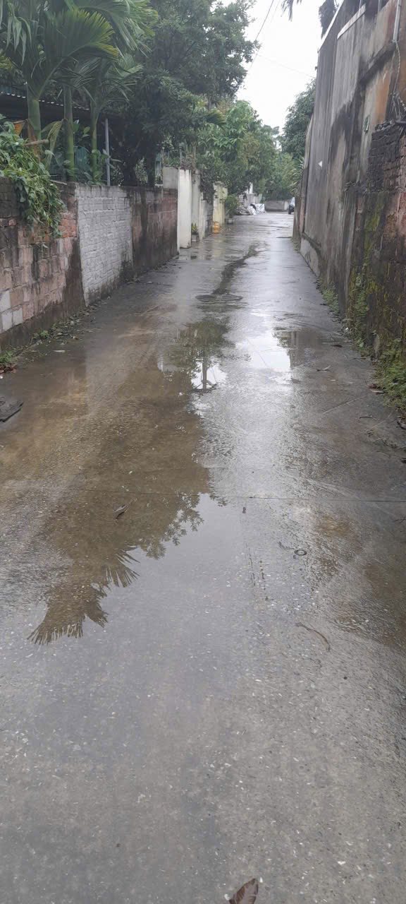 Đất thổ cư 113m² tại TDP 4 Hòa Mạc, Duy Tiên - Giá chỉ 2 tỷ!