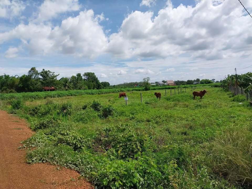 Đất thổ cư 400m² xã Suối Đá, Dương Minh Châu - Giá 4.2 tỷ, cơ hội đầu tư tuyệt vời!