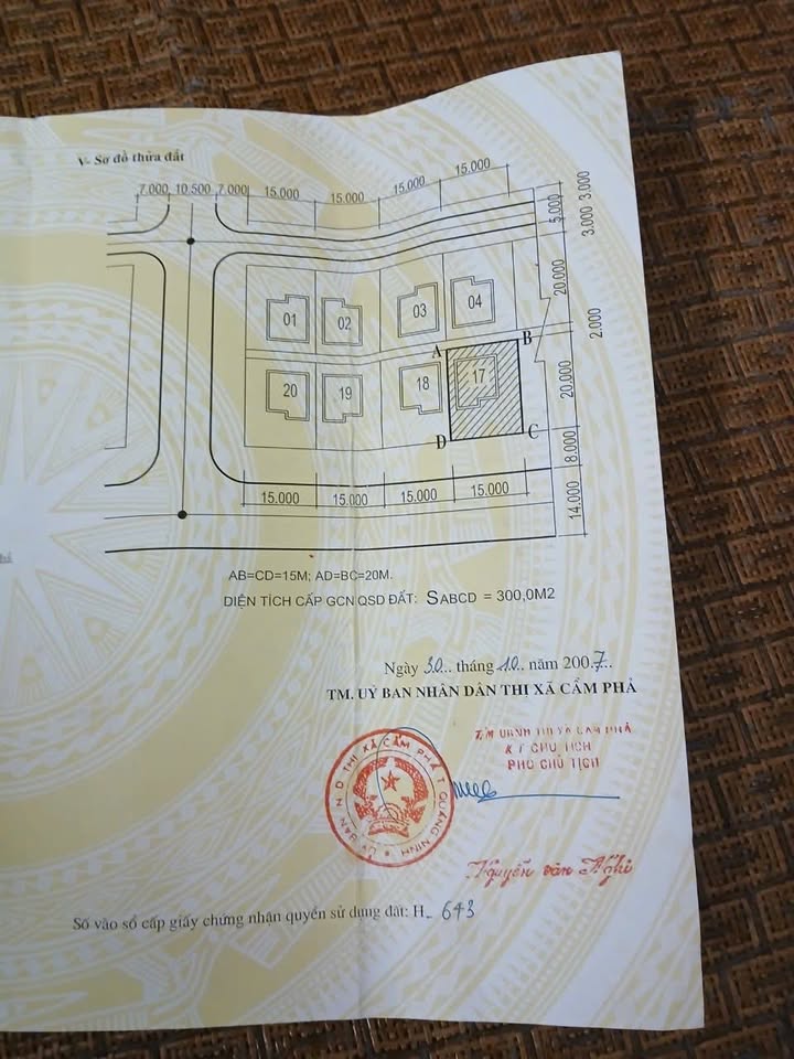 Đất kinh doanh biệt thự Đông Bến Do, Cẩm Bình 300m² giá 9 tỷ - Vị trí đắc địa, tiềm năng sinh lời cao!