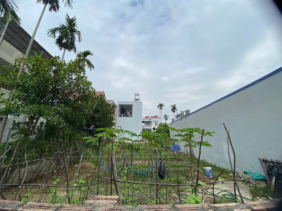 Đất nền Hưng Đạo Hải Phòng 81.2m² giá 1.5 tỷ - Đầu tư sinh lời ngay!