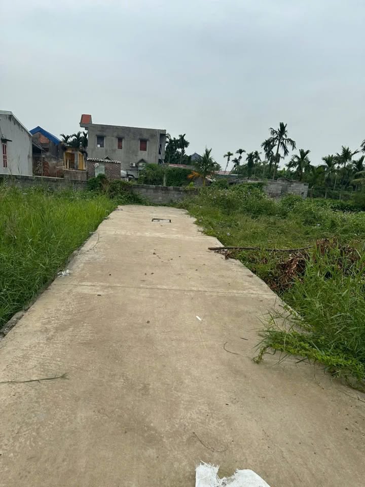 Đất nền 52m² tại Phù Liễn, Kiến An - Sổ đỏ chính chủ, giá chỉ 9xx triệu!