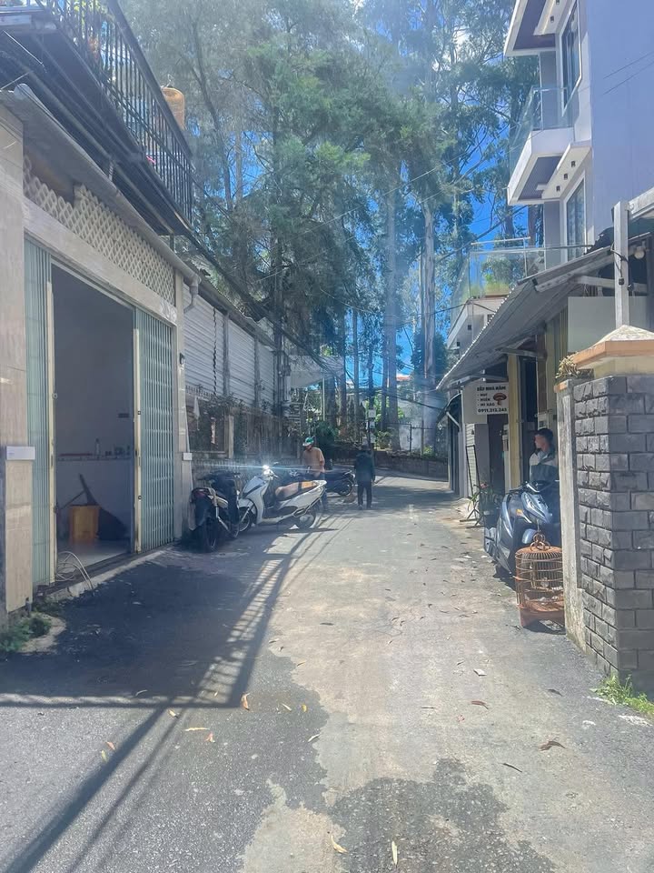 Đất nền Mai Hoa Thôn, Xuân Hương, Đà Lạt 91.93m² giá 7.9 tỷ - Đầu tư sinh lời ngay!