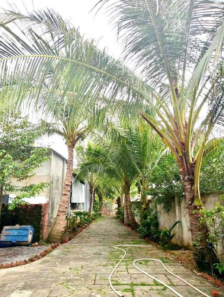 Nhà bán tại xã Hưng Thịnh, Trảng Bom 686m² - Không thể bỏ lỡ!