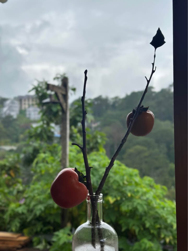 Nhà nguyên căn cho thuê tại Đà Lạt 120m² giá 16 triệu - Đầu tư sinh lời ổn định!