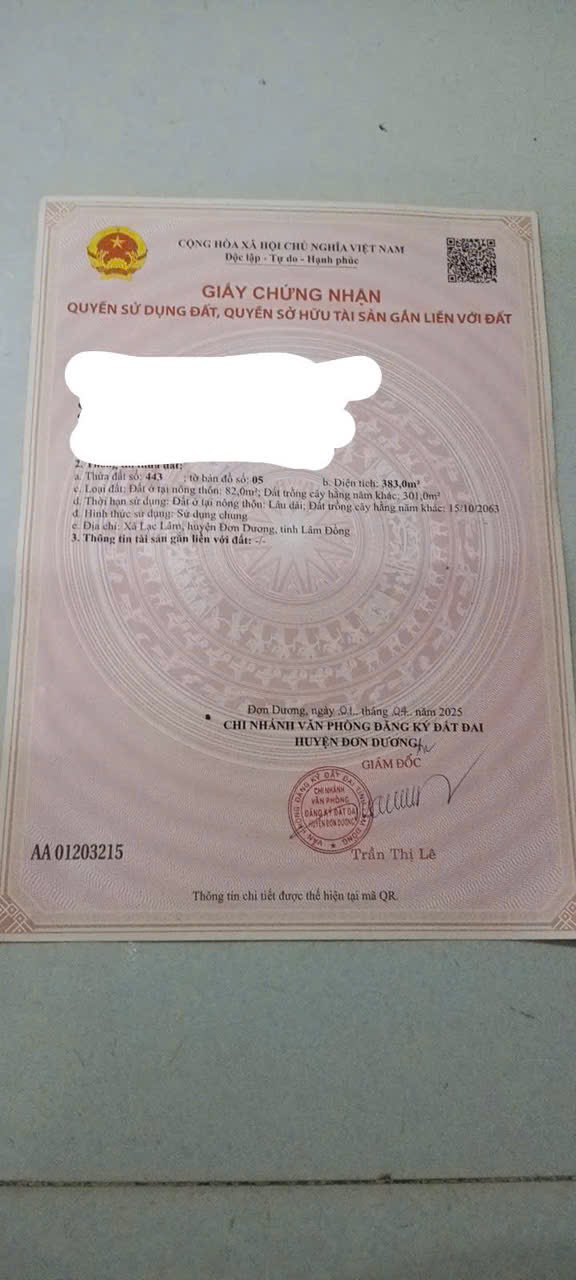 Đất thổ cư 383m² tại Đơn Dương, Lâm Đồng - Mặt tiền đường kinh doanh thuận lợi!
