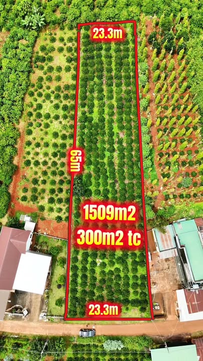 Đất nền Nam Ban Lâm Hà 1509m² giá 3.4 tỷ - Cơ hội đầu tư hấp dẫn!