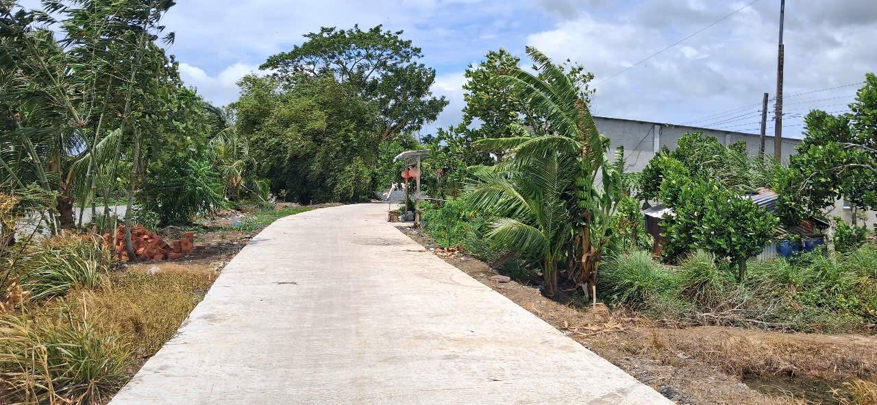 Đất lúa Đông Bình Thới Lai 15.608m² - Cơ hội đầu tư hấp dẫn!