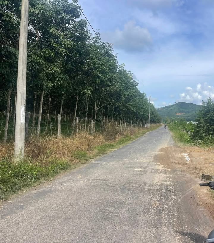 Đất thổ cư 30.100m² tại Thôn 1, Đắk La, Đắk Hà - Cơ hội đầu tư lý tưởng!