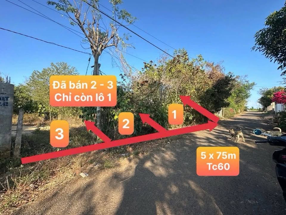 Đất nền phường Ea Kao 360m² giá 590 triệu - Cần bán gấp, cơ hội đầu tư tuyệt vời!