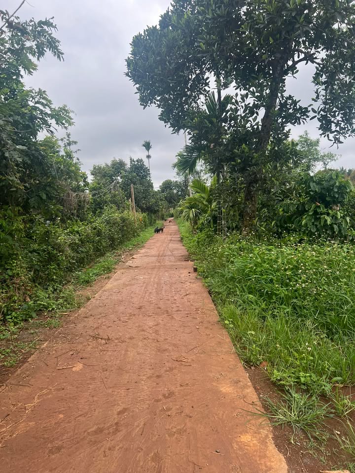 Đất nền trung tâm Phú Xuân 180m² giá chỉ 200 triệu - Cơ hội đầu tư tuyệt vời!