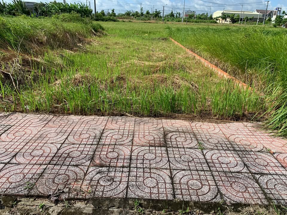 Đất nền khu định cư An Phú Center Cần Đước 97.6m² giá 1.15 tỷ - Sổ hồng chính chủ!