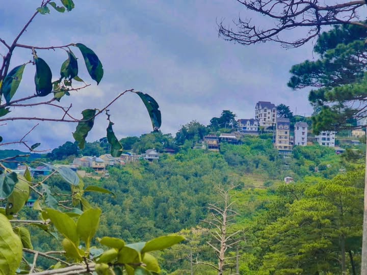 Nhà nguyên căn 3PN tại Đà Lạt - Thích hợp làm quán Cafe hoặc homestay