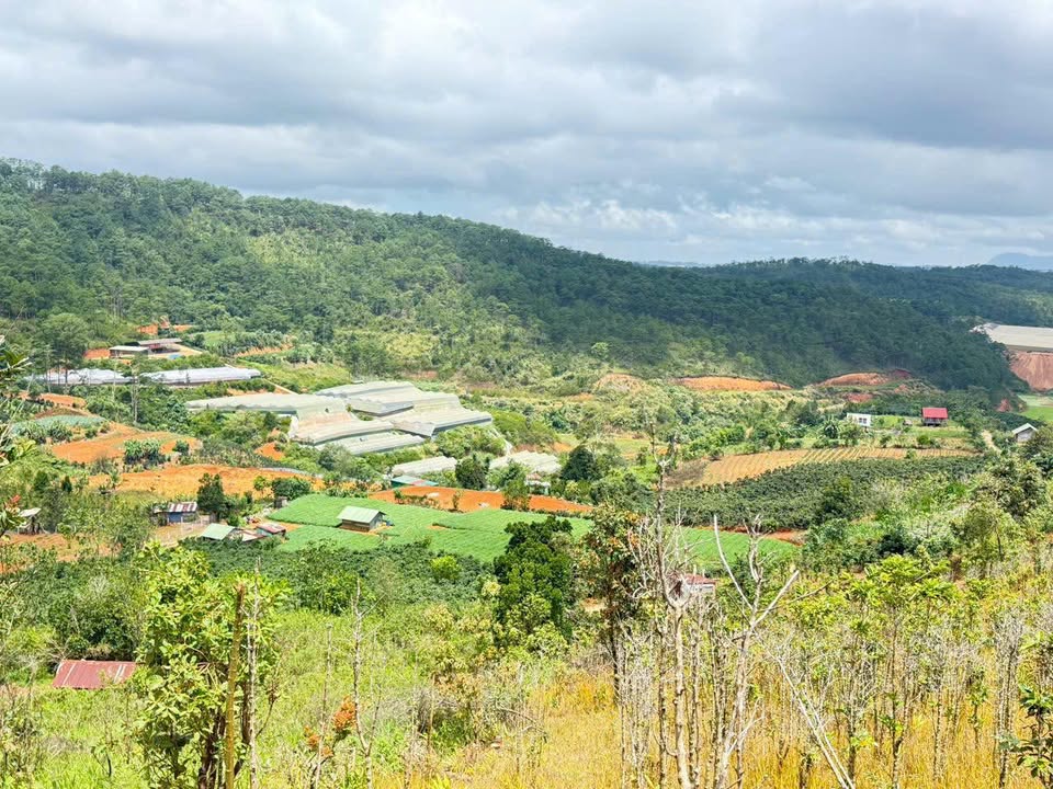 Đất vườn 4,7 sào tại Lang Biang, Lạc Dương - Giá chỉ 5,17 tỷ VND