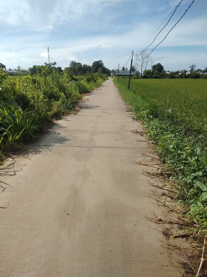 Đất nền Tham Đôn, Mỹ Xuyên 2700m² giá 540 triệu - Mặt tiền ô tô, cơ hội đầu tư lý tưởng!