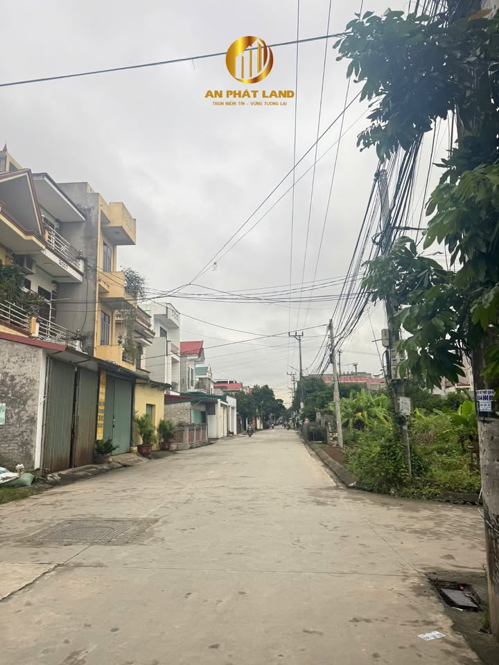 Đất Ninh Khánh 91.5m² giá thương lượng - Vị trí trung tâm tuyệt đẹp!