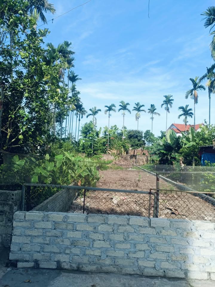 Đất nền thôn Thanh Kỳ, An Thanh, Tứ Kỳ 150m² giá chỉ 1 tỷ - Cơ hội đầu tư không thể bỏ lỡ!