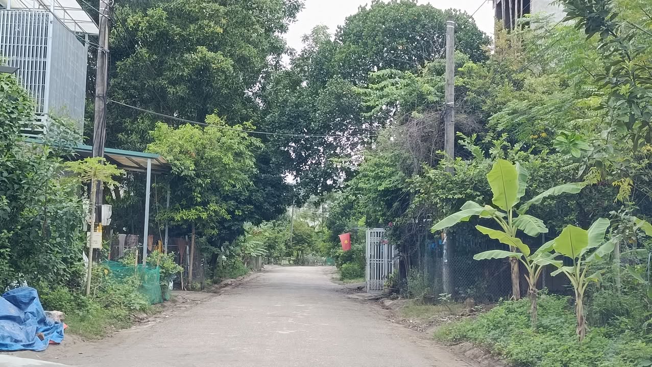 Đất phân lô Tổ 8, Phường Nông Tiến 100m² - Vị trí đắc địa, đầu tư sinh lời!