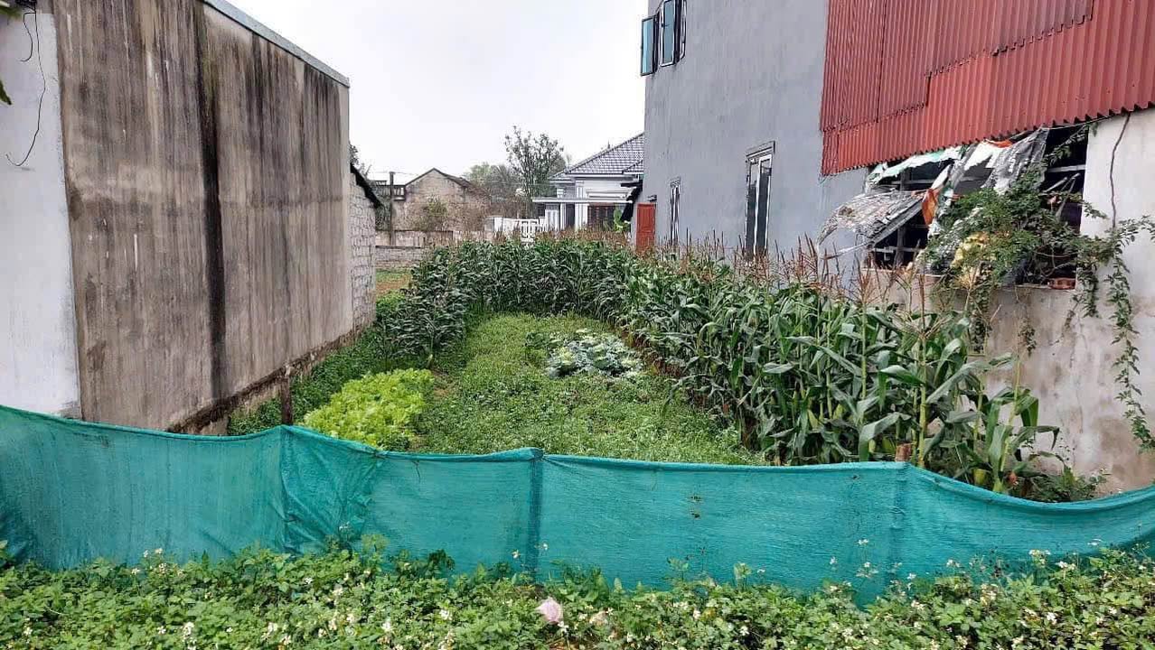 Đất nền xã Quảng Hải 156m² giá thỏa thuận - Vị trí vàng cho kinh doanh và nghỉ dưỡng!