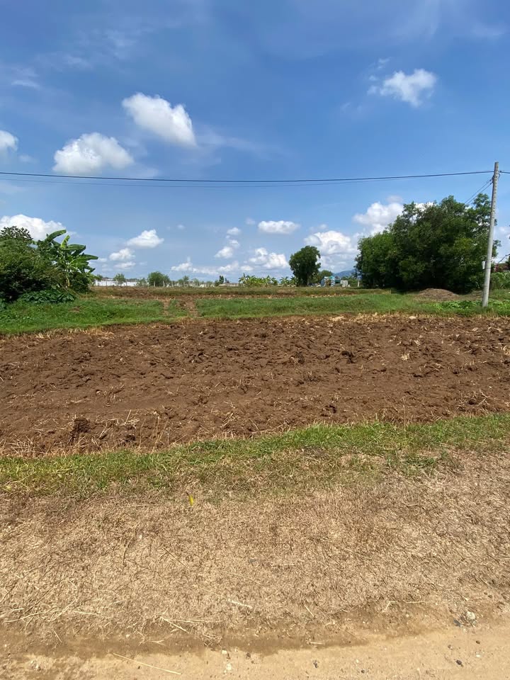 Đất nền 700m² tại An Phú, Hàm Chính - Giá chỉ 200 triệu, đầu tư ngay!