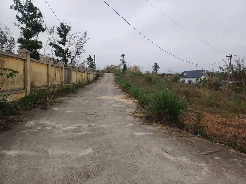 Đất thổ cư thôn Bằng Xăm, xã Lê Lợi, Hạ Long 98.3m² - Đường ô tô vào tận nơi!