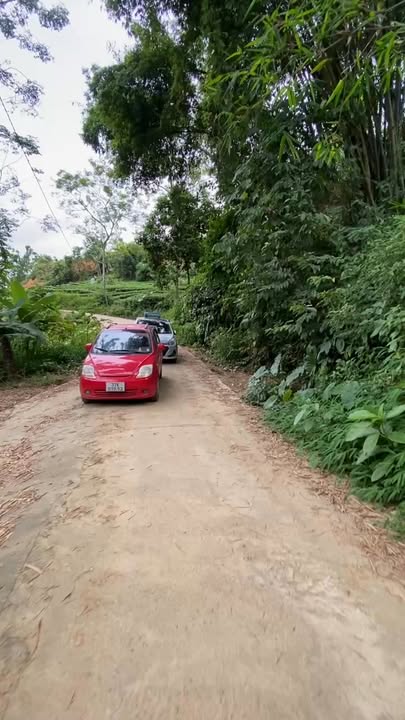 Đất thổ cư Hòa Bình, Đồng Hỷ 800m² chỉ 200 triệu - Cơ hội đầu tư hấp dẫn!