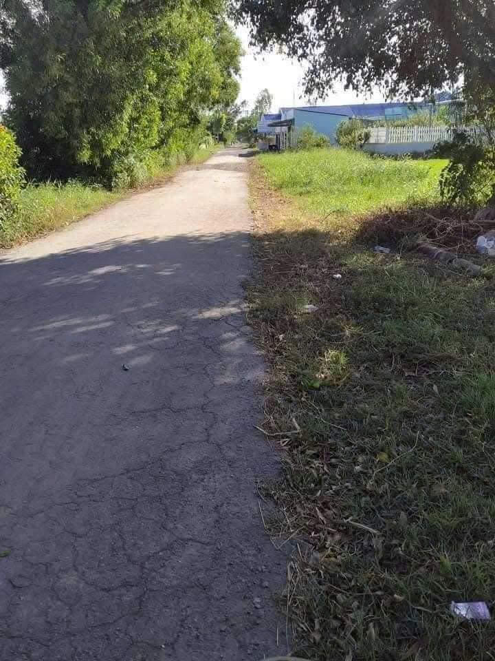 Đất cây lâu năm 3 công tại xã Tân Mỹ, Ba Tri, Bến Tre - Giá chỉ 640 triệu!