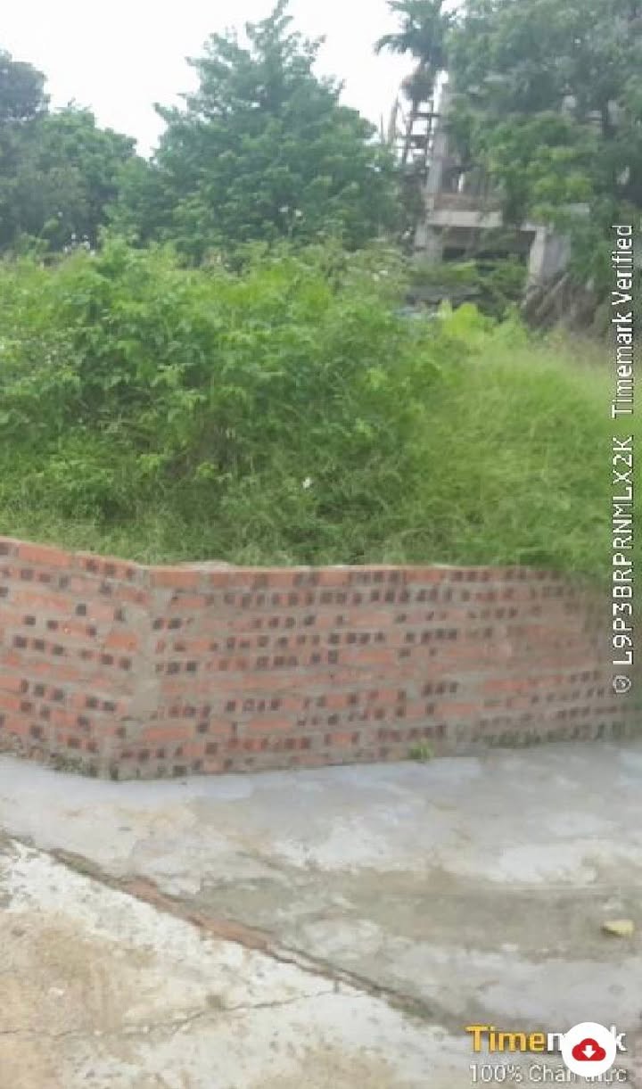 Đất lô góc Thôn Traij Rừng, Trung Giã 1m² - Pháp lý chuẩn, giao dịch ngay!