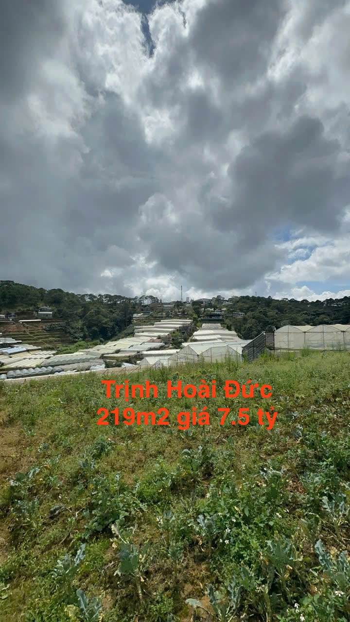 Đất nền biệt thự Đà Lạt 219m² giá 7.5 tỷ - Cơ hội đầu tư tuyệt vời!