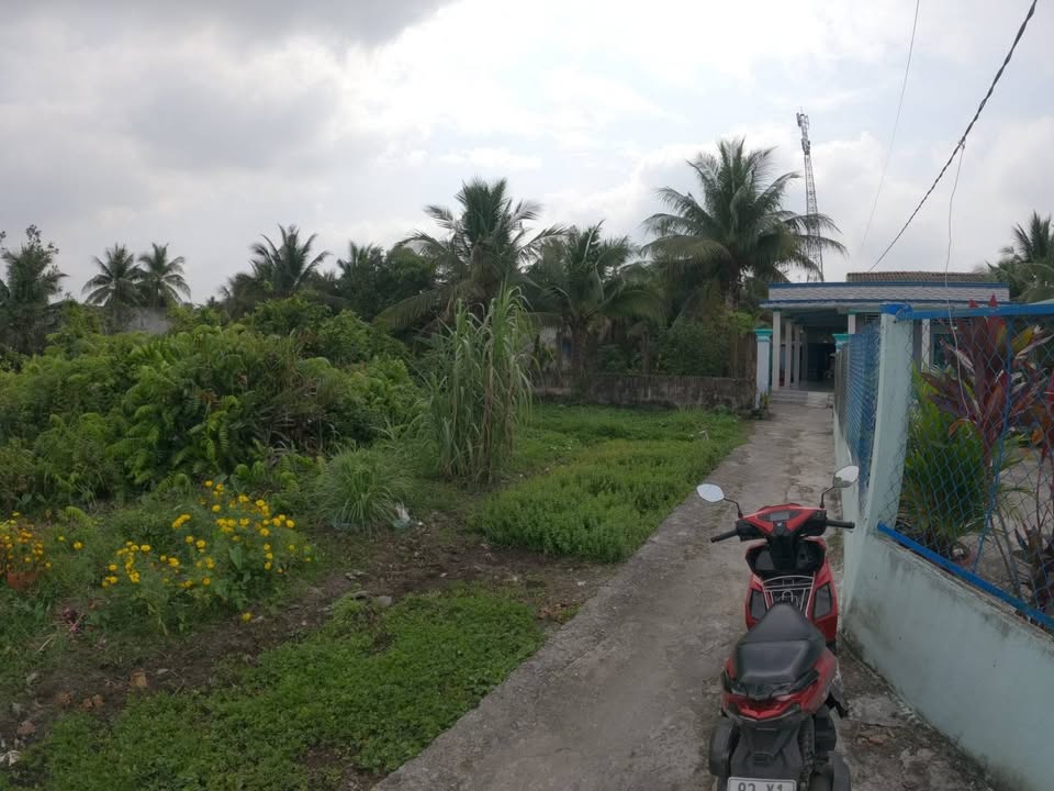 Đất nền 125m² xã Nhựt Chánh, Bến Lức - Giá 465 triệu, Sổ hồng riêng!