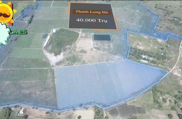 Trang trại rộng 43 hecta tại xã Hồng Liêm, Hàm Thuận Bắc, giá 120 tỷ - Đầu tư sinh lời ngay!