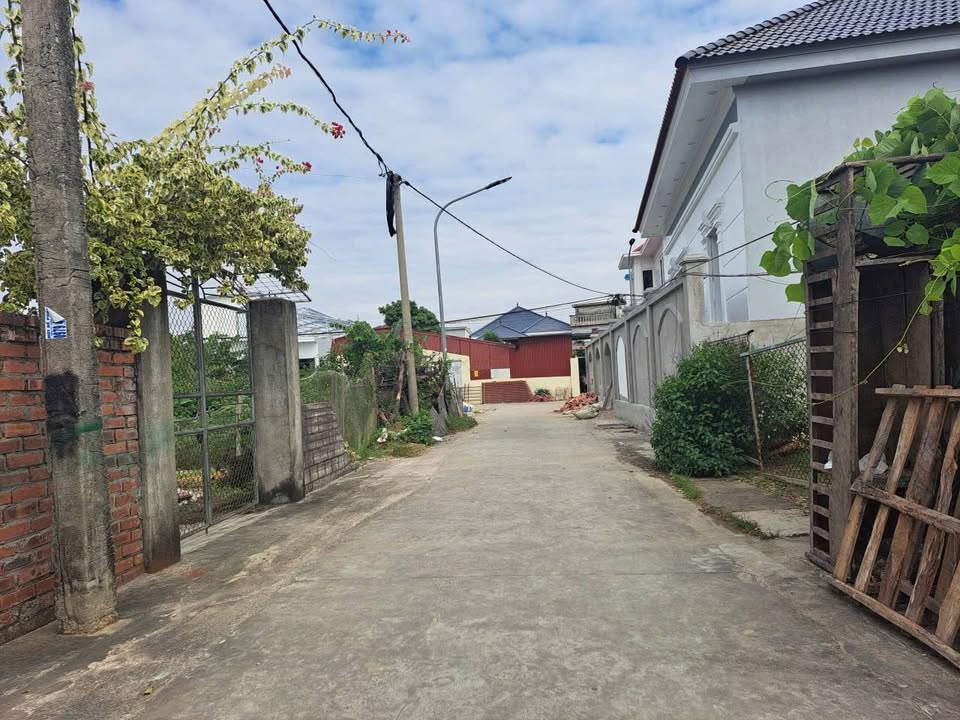 Đất nền Tân Dân - An Lão 108m² chỉ 999 triệu - Cơ hội đầu tư tuyệt vời!