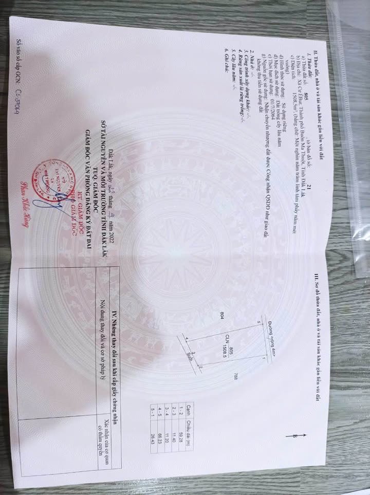 Đất trồng cây lâu năm 1500m² tại xã Cư Êbur, Buôn Ma Thuột - Đầu tư sinh lời hấp dẫn!