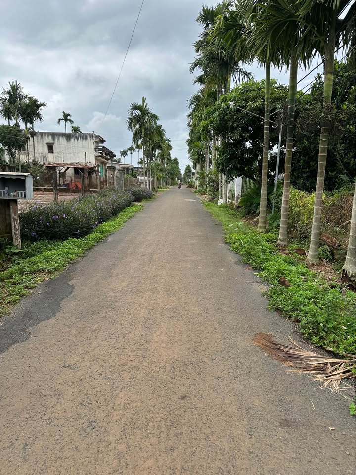 Đất góc 2 mặt tiền hẻm 20B Hòa Thuận, Tân An, Buôn Ma Thuột 780m² - Tiềm năng tăng giá cao!