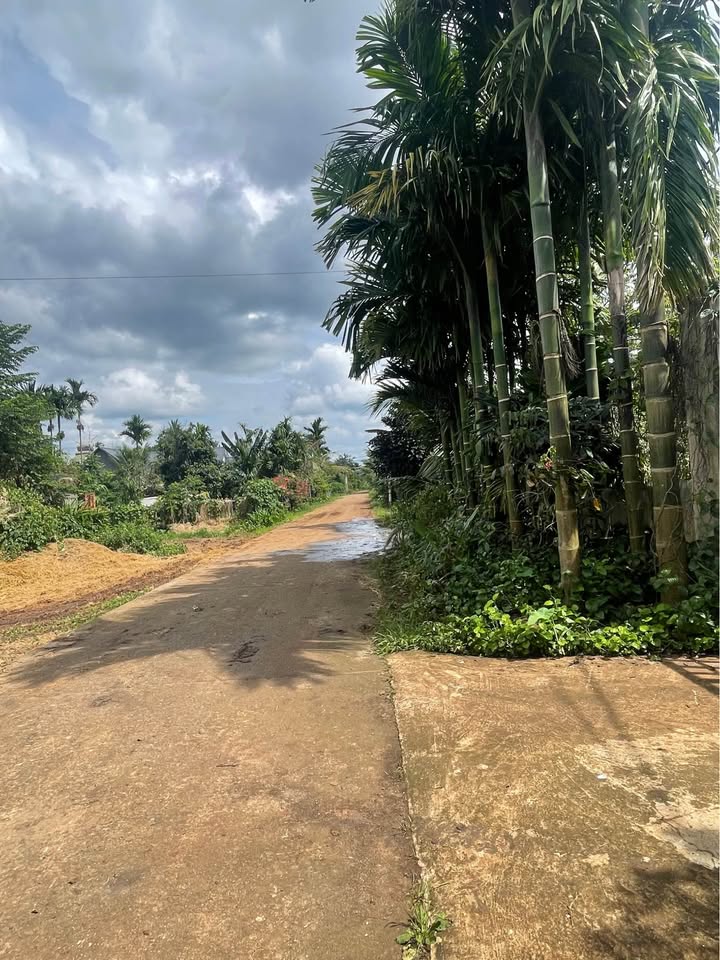 Đất nền Tân Lập, Buôn Ma Thuột 2250m² - View đẹp, đầu tư sinh lời!