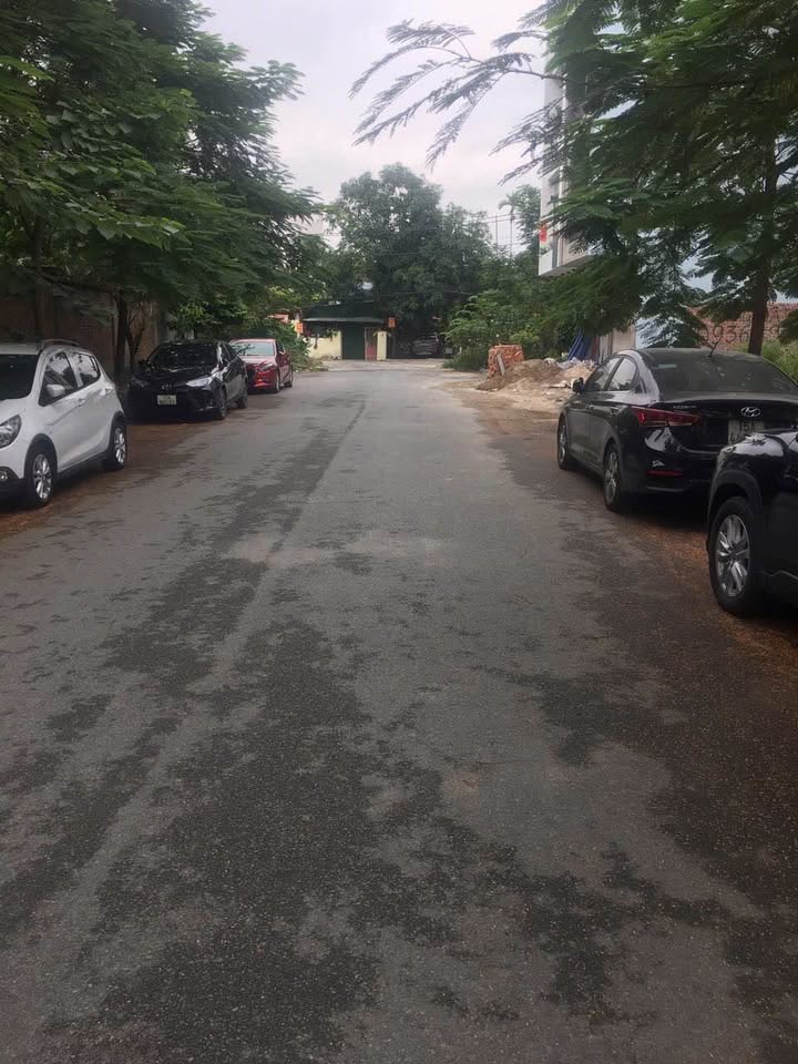 Đất mặt đường Nguyễn Bỉnh Khiêm, Ngô Quyền 100m² - Hướng Nam, Giao thông thuận tiện!