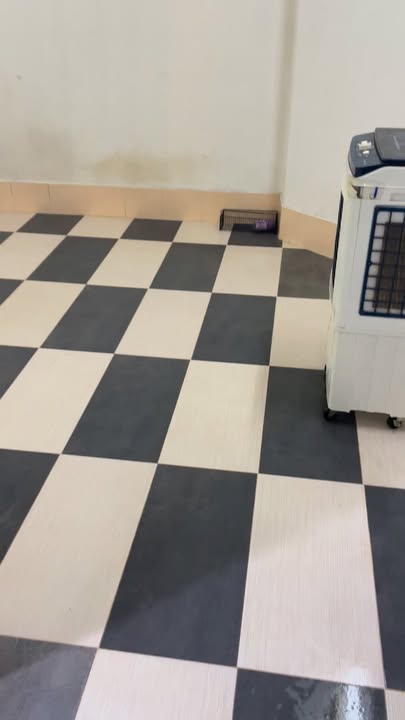 Phòng cho thuê tại 66/41 Hùng Vương, Quận 10 - Giá chỉ 3 triệu/tháng