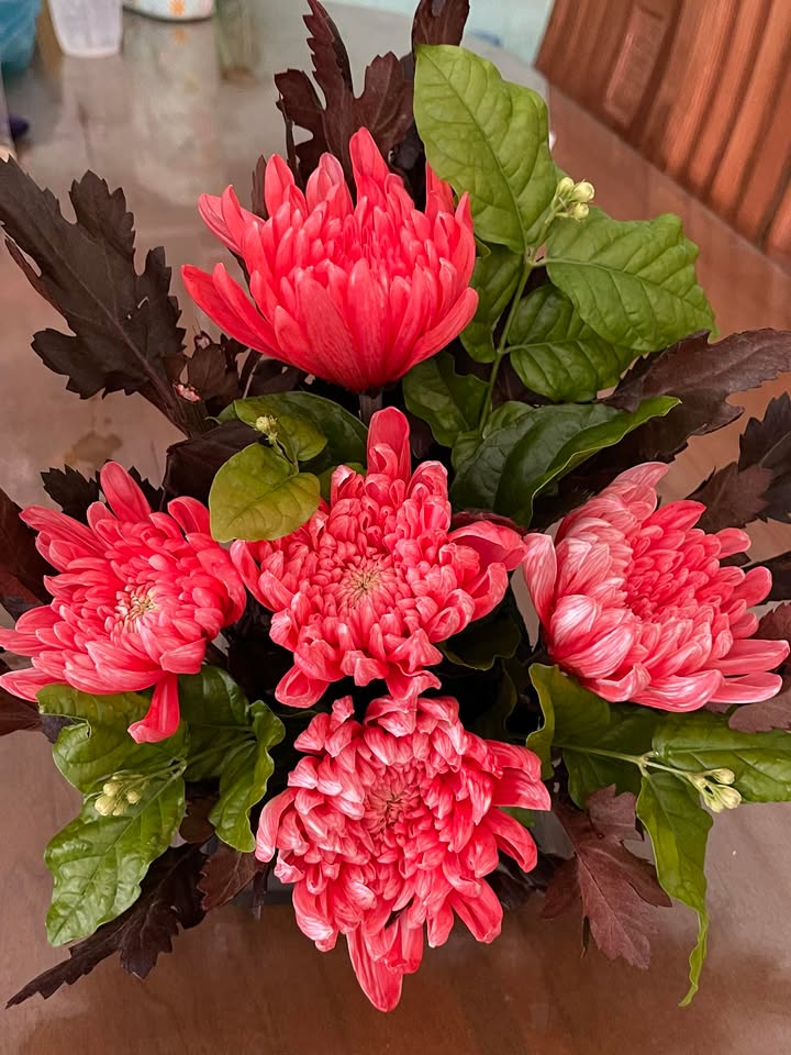 Đất nền Long Mỹ Đất Đỏ 560m² giá chỉ 1.1 tỷ - Cơ hội đầu tư tuyệt vời!