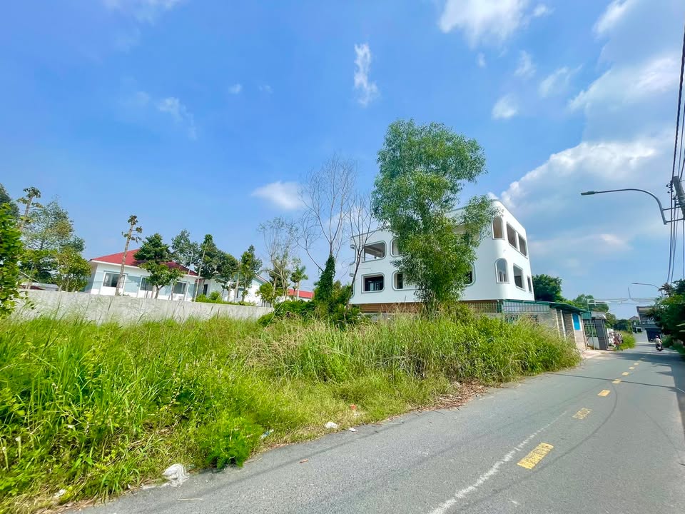 Đất nền Tân Phước 99m² giá 1.5 tỷ - Hướng Tây Nam, tiện ích đầy đủ!