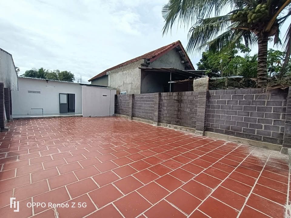 Nhà cấp 4 Diên Lạc 278m² giá 1.599 tỷ - Cơ hội sở hữu nhà vườn lý tưởng!